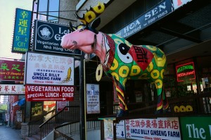 chinatown cow2(7x10)        